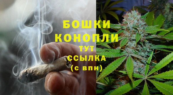 стаф Беломорск