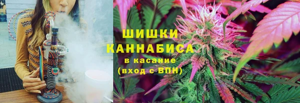 стаф Беломорск