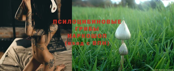стаф Беломорск