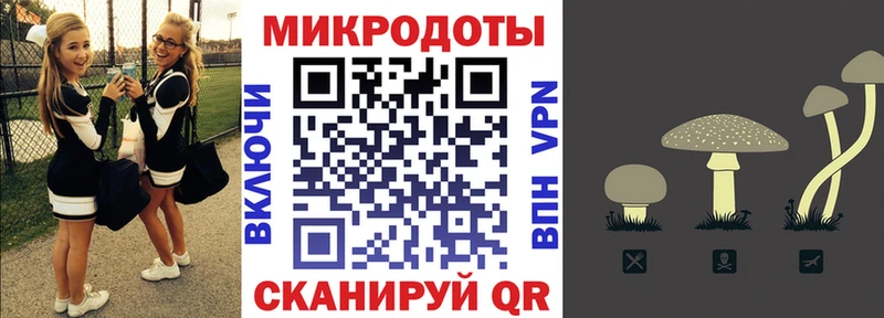 Псилоцибиновые грибы мухоморы  Купить закладки  Далматово 